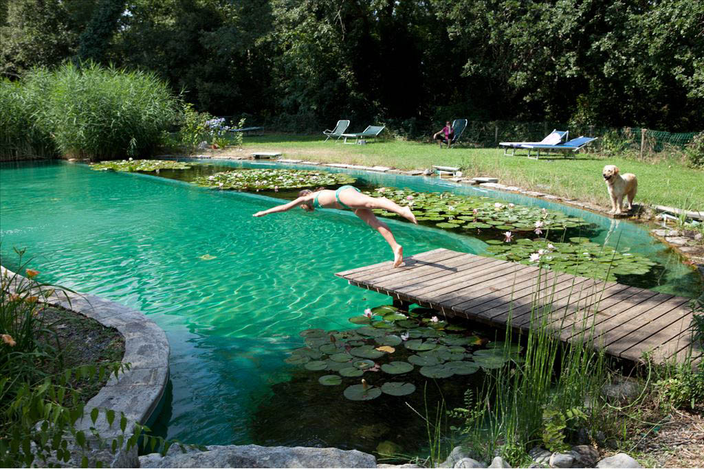 Bio Agriturismo In Toscana Il Cerreto Ideale Per Famiglie