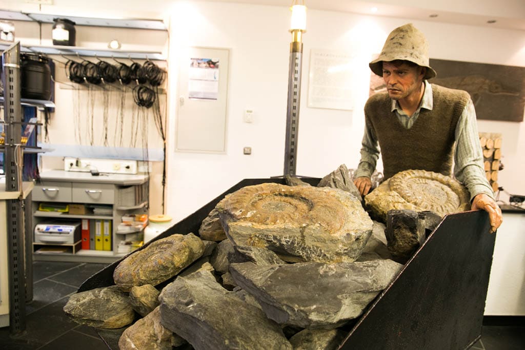 austria-tirolo-achensee-museo-olio-minerale-tirolese-vitalberg-foto-devid-rotasperti (1)