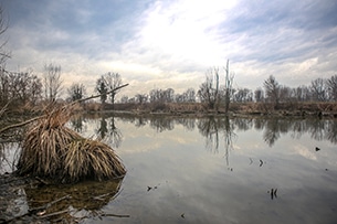 lombardia-oglio-lanca-d-acqualunga-foto-devid-rotasperti-(2)