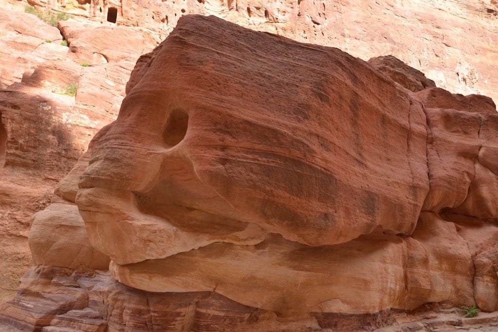 Le forme delle rocce: il pesce