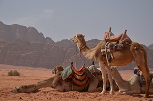 giordania-wadi-rum-deserto8