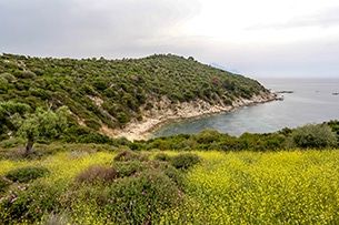 Calcidica con bambini, Sithonia