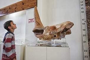 Calcidica con bambini, grotte di Petralona