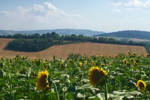 marche-spiagge-numana-conero-paesaggio