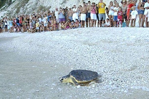 marche-spiagge-numana-tartaday-numana_001