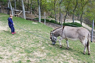 Trekking con gli asini per bambini