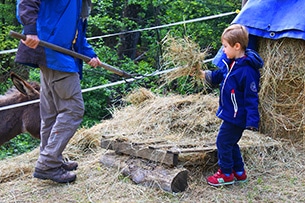 Trekking con gli asini per bambini