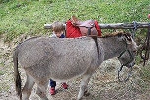 Trekking con gli asini per bambini