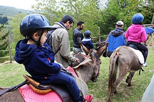 Trekking con gli asini per bambini, Gli Amici dell'Asino