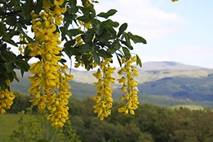 Weekend nel verde in Toscana, Casentino