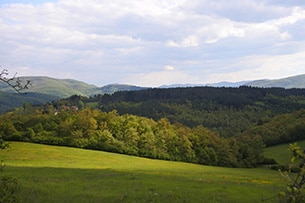 Weekend nel verde in Toscana, Parco delle Foreste Casentinesi