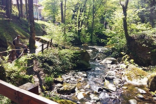 Weekend nel verde in Toscana, Casentino