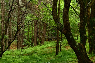 Parchi Liguria bambini, Parco Beigua