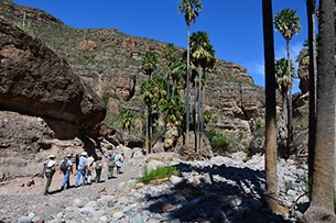 Baja California trekking nella sierra