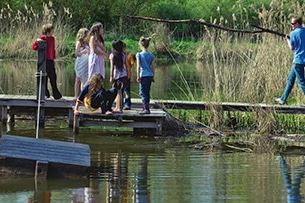 Olanda bici e battello con bambini, National Park de Biesbosch