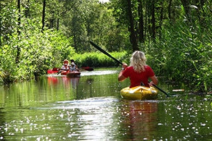 Olanda bici e battello con bambini, Giethoorn