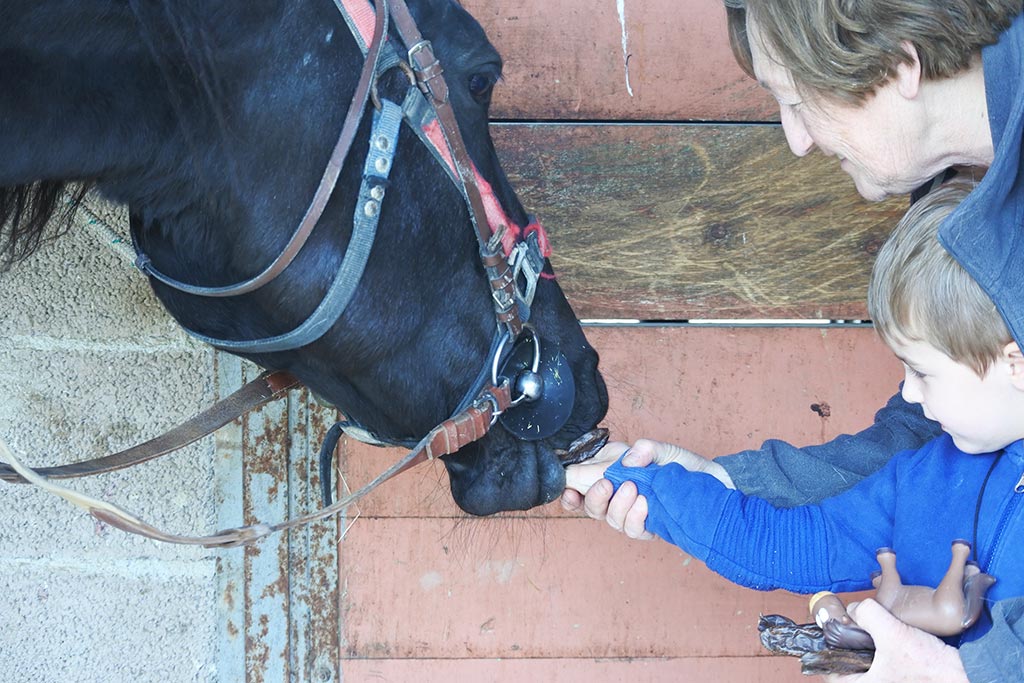 Podere Tremulini Agriturismo Con Maneggio Siena Familygo