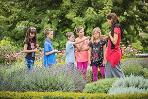 Top 10+ dei luoghi in Trentino per famiglie, Monte Baldo