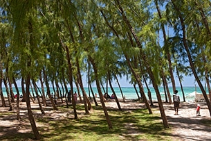 Mauritius con bambini, mare e natura