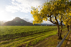 Mauritius con bambini, natura