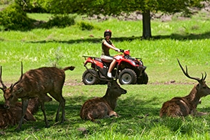 Mauritius con bambini, safari