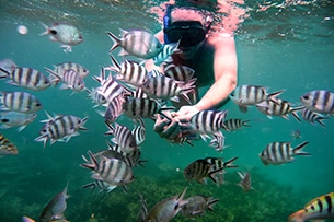 Mauritius con bambini, snorkeling