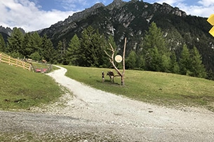 Stubai con bambini sentiero