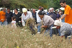 Molise mare con bambini e entroterra