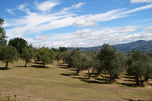 Molise mare con bambini e entroterra