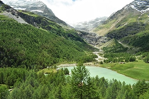 svizzera-treno-bernina-lago