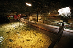 Baleari in autunno, Ibiza Aquarium Es Cap Blanc