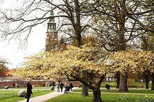 danimarca-copenhagen-Rosenborg-castello