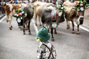 Weekend in autunno in Trentino Festa degli Alpeggi