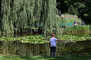 Weekend a Innsbruck, giardino