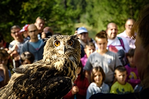 Weekend Valtellina bambini, osservatorio faunistico