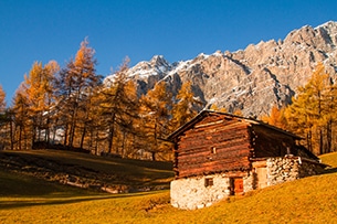 Weekend Valtellina bambini, autunno