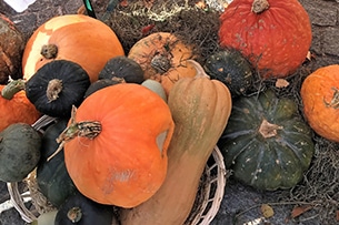 Treno del Foliage, Borgo di Santa Maria Maggiore