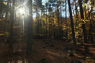 Treno del Foliage, Piemonte - Svizzera