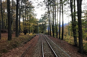 Treno del Foliage, Piemonte - Svizzera