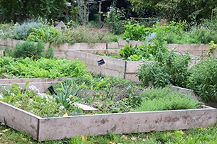 Hortus Urbis con bambini, Parco Appia Antica Roma