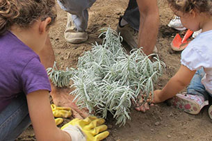 Hortus Urbis con bambini, Parco Appia Antica Roma