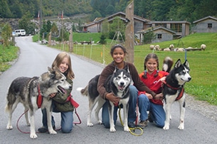 Svizzera natura, Canton Svitto, Capanna husky lodge