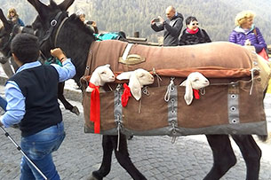 Transumanza feste: Valle d'Aosta