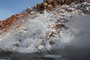 Real America Safari Thermopolis hotsprings winter