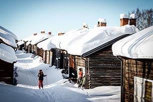 Lapponia svedese, Bonnstan