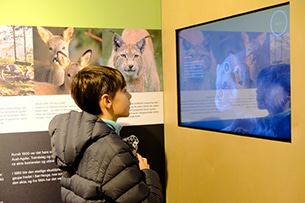 Viaggio nord Norvegia con bambini, Narvik