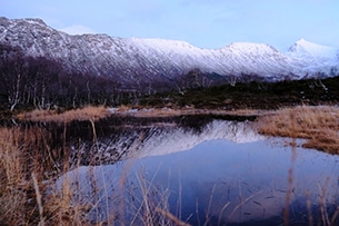 Viaggio nord Norvegia con bambini, Vesterålen