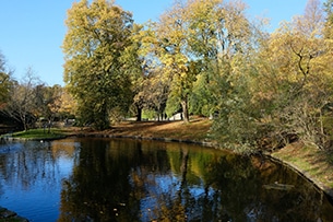 Settimana in Norvegia con bambini, Bergen