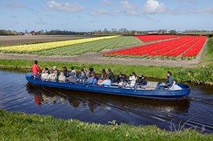 Il parco keukenhof in olanda