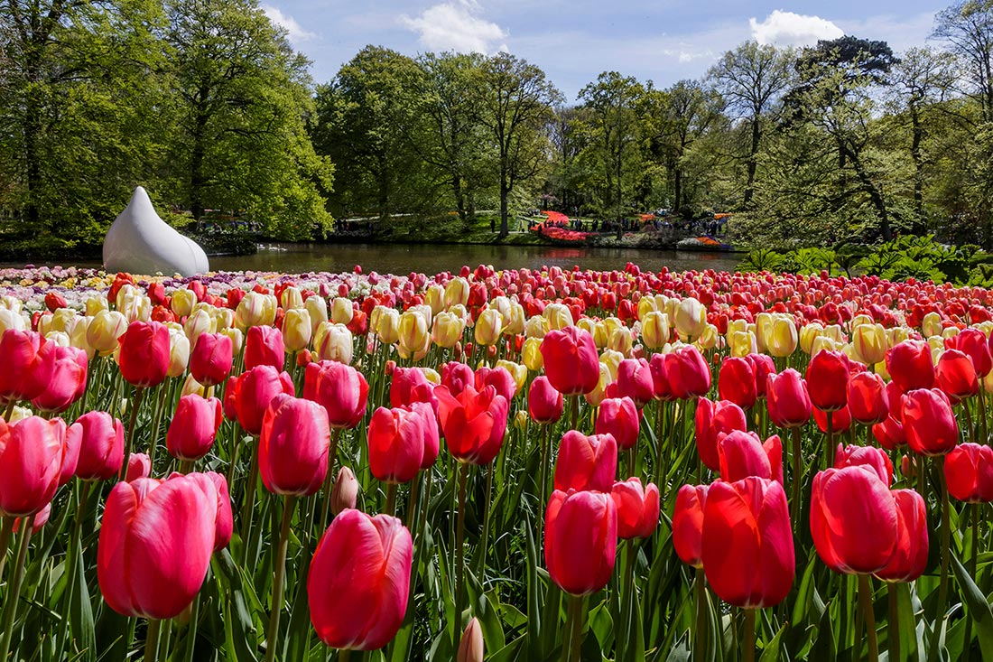 Parco Keukenhof, Olanda